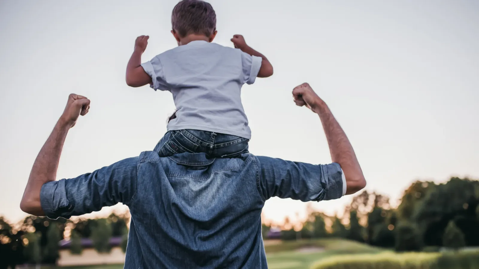 All Sanitas health insurance plans